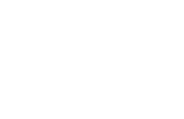 Banner Logo